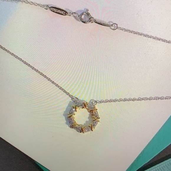 Tiffany & Co Silver and Gold Circle Pendant Necklace - Picture 4 of 4